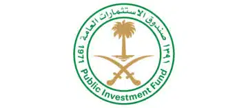 شركات صندوق الاستثمارات العامة